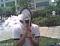 radzxx's Avatar