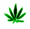 MC_MAURICE's Avatar