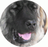 ovid58's Avatar
